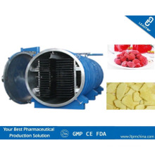 High Efficient Vacuum Dryer Fruit